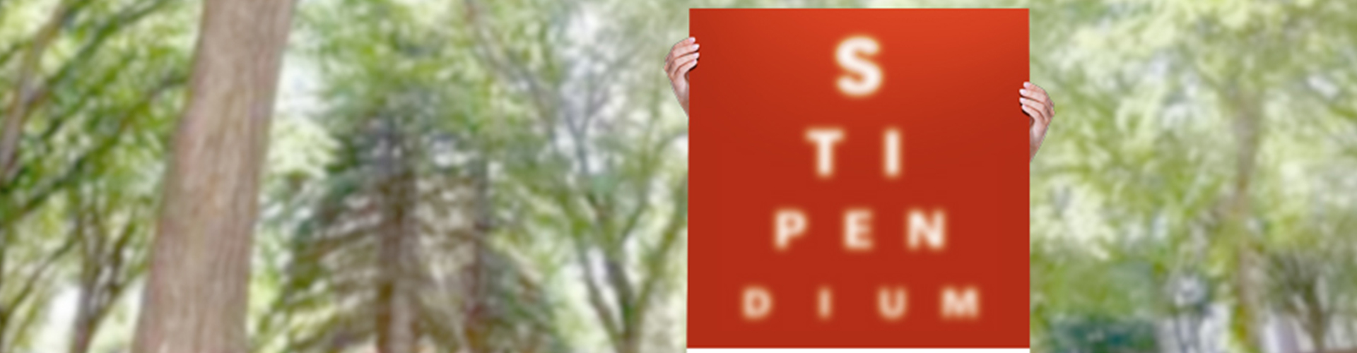header_hero_sti.jpg  
